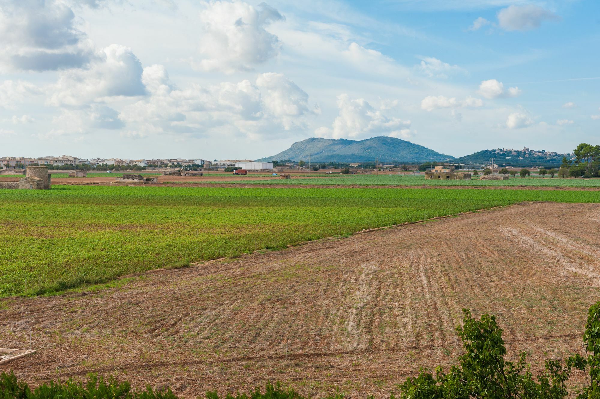 Son Valenti Villa Sa Pobla Exterior foto